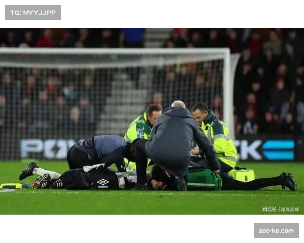 卢顿绝杀后球迷冲入场庆祝 裁判及时控制局势